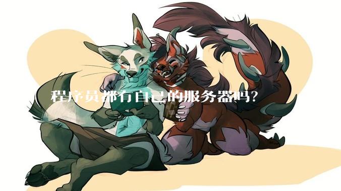 程序员都有自己的服务器吗？
