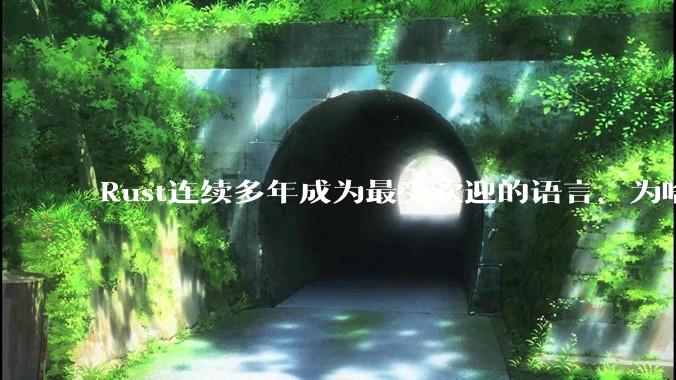 Rust连续多年成为最受欢迎的语言，为啥国内使用的人还是很少?