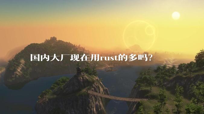 国内大厂现在用rust的多吗？