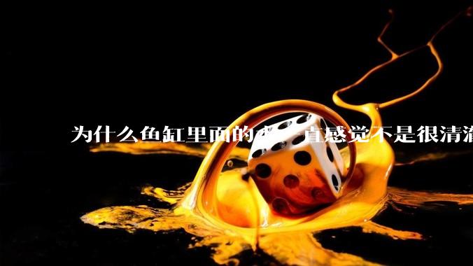 为什么鱼缸里面的水一直感觉不是很清澈呢？